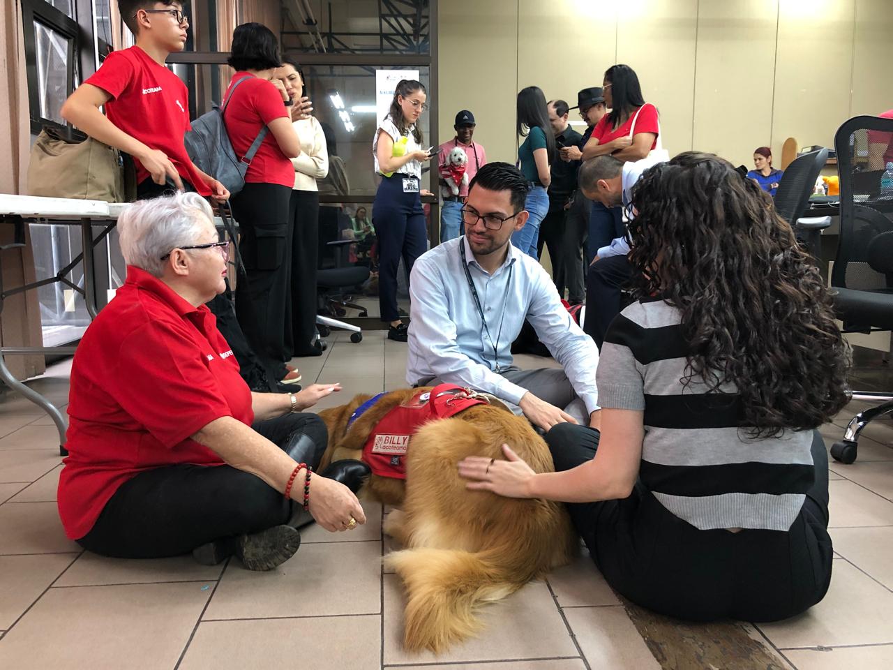 Billy el Golden Retriever haciendo terapia en el piso con personas