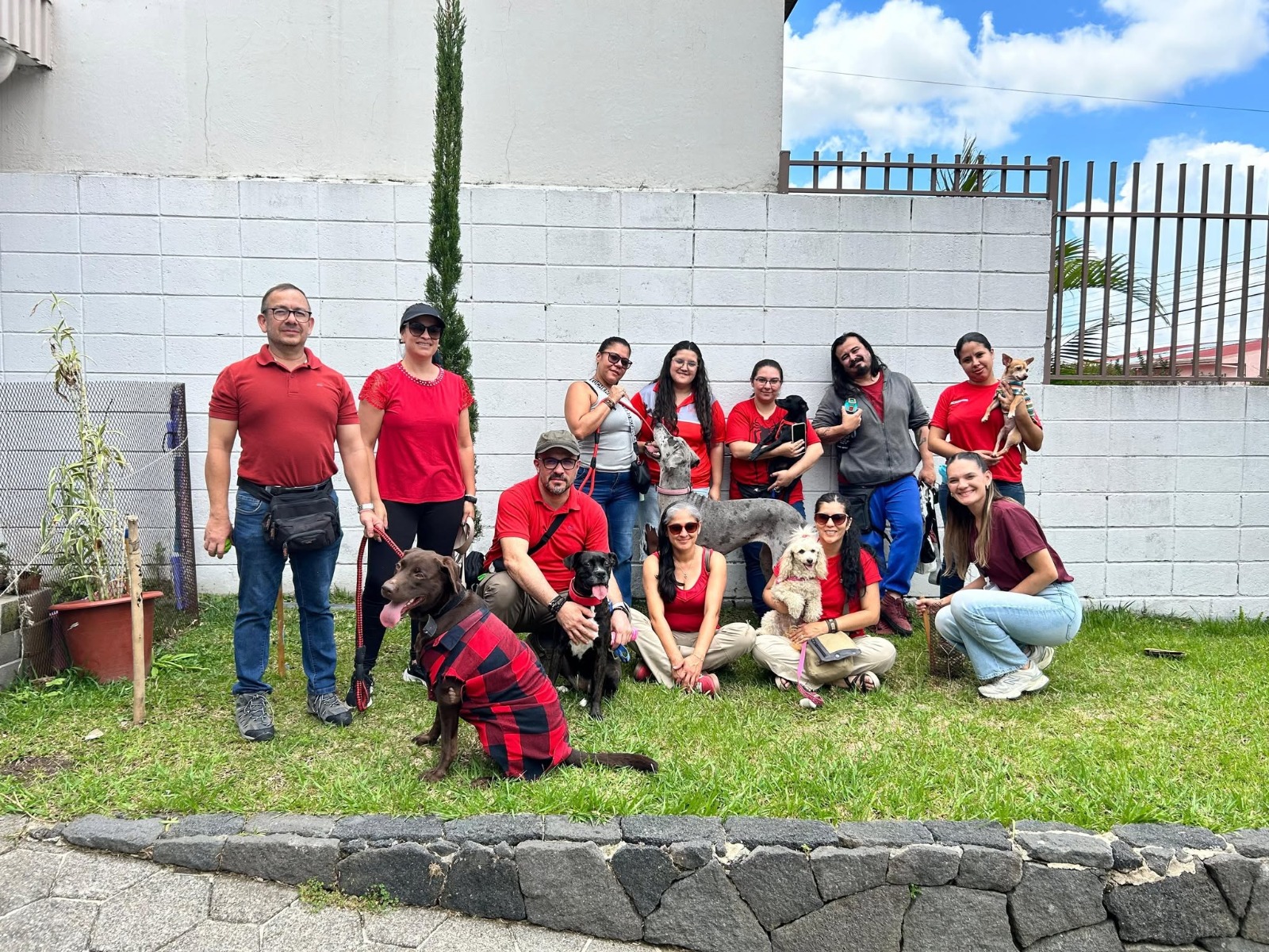 Equipo ACOTEAMA con perros terapeutas en reunión grupal