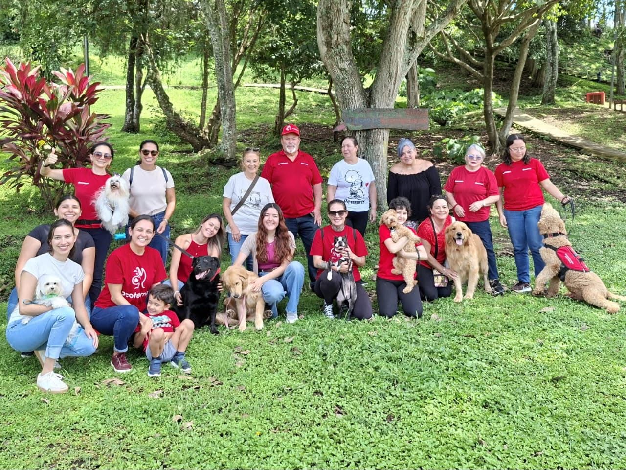 Grupo de voluntarios ACOTEAMA en actividad al aire libre con sus perros