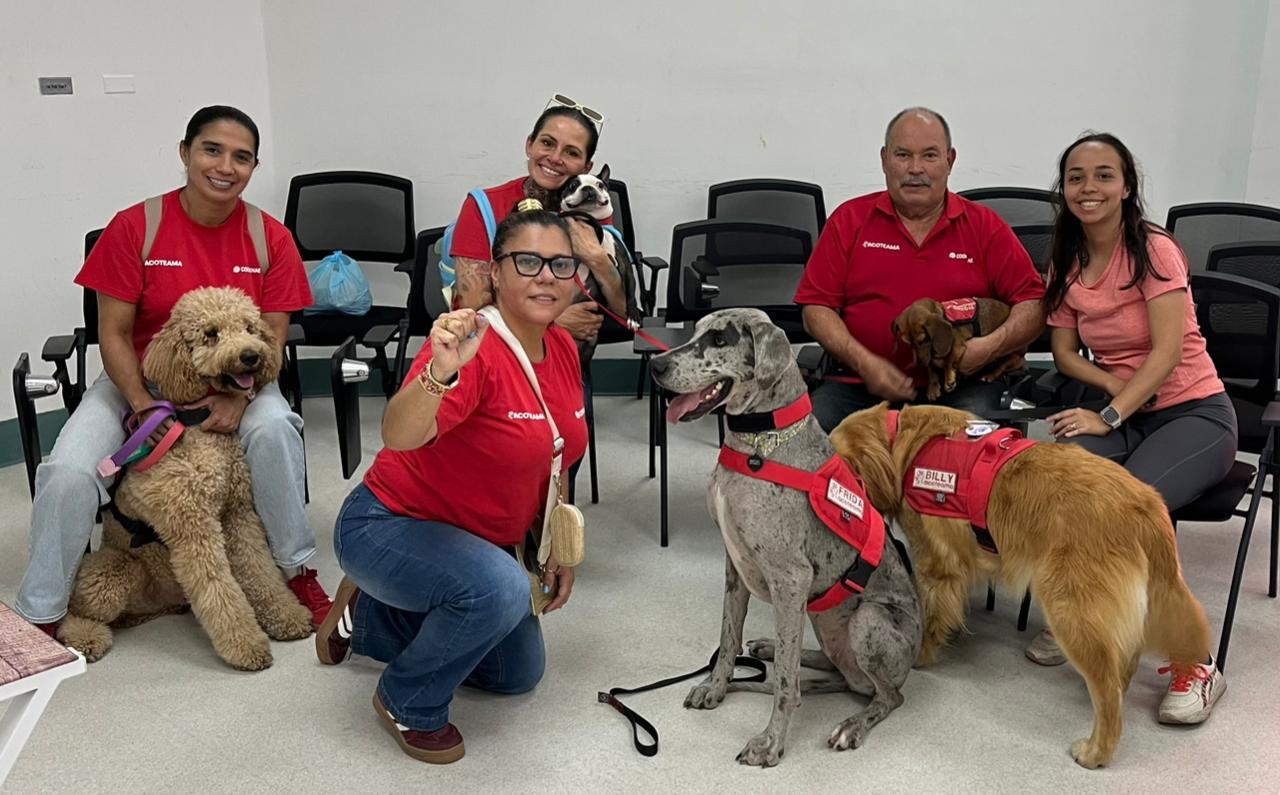 Equipo ACOTEAMA con perros terapeutas Frida y Billy preparados para intervención