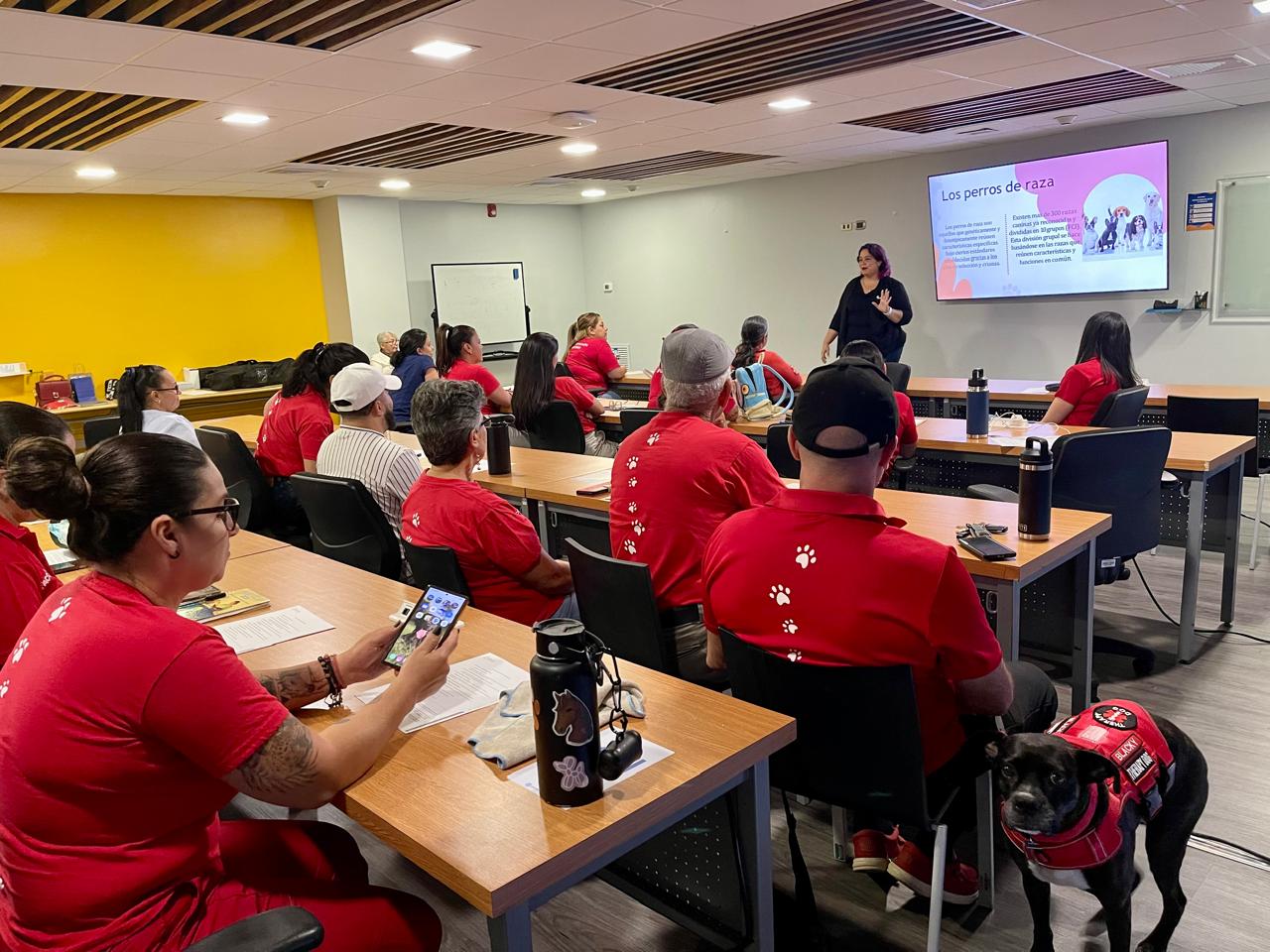 Capacitación teórica ACOTEAMA — voluntarios en salón aprendiendo sobre razas de perros