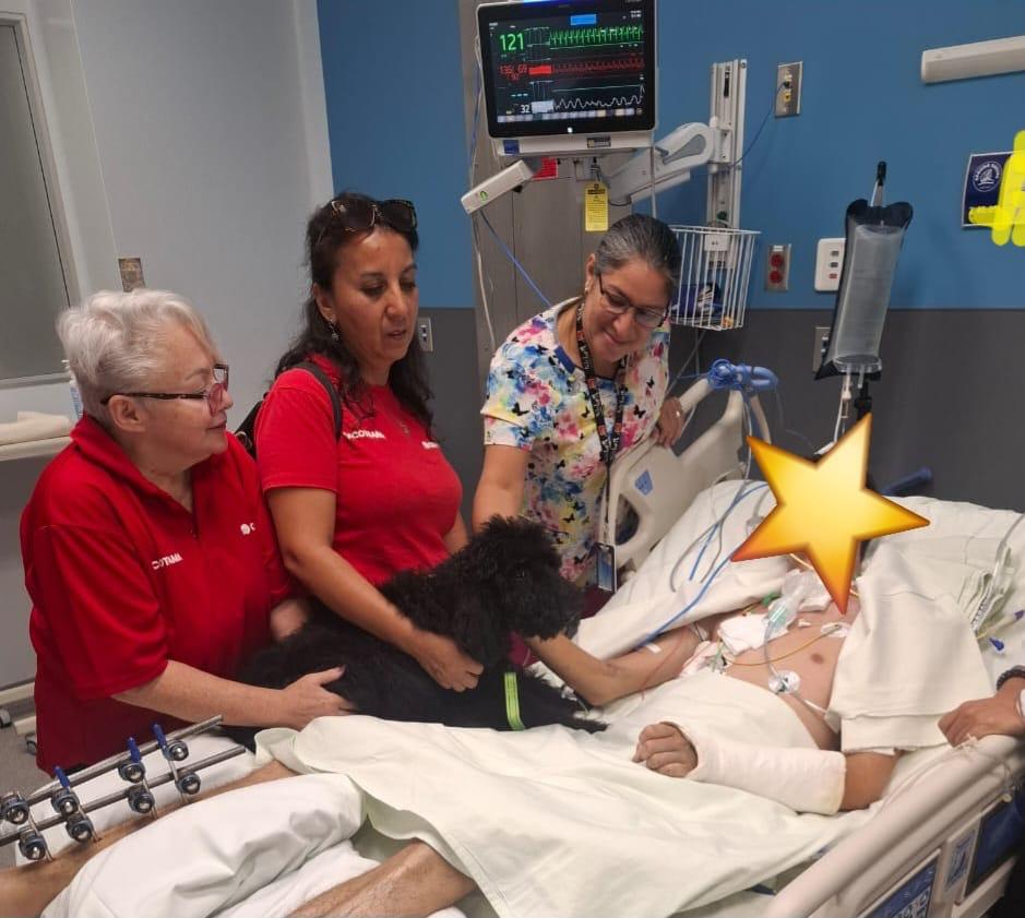 Perro terapeuta visitando paciente hospitalizado en UCI