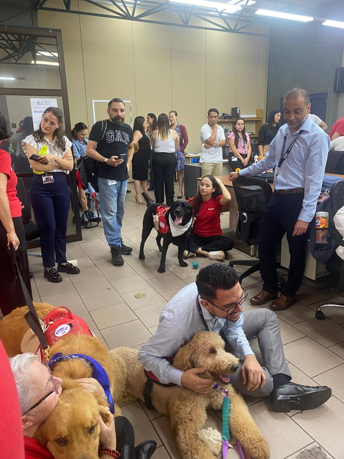 Funcionarios interactuando con perros terapeutas ACOTEAMA en oficinas