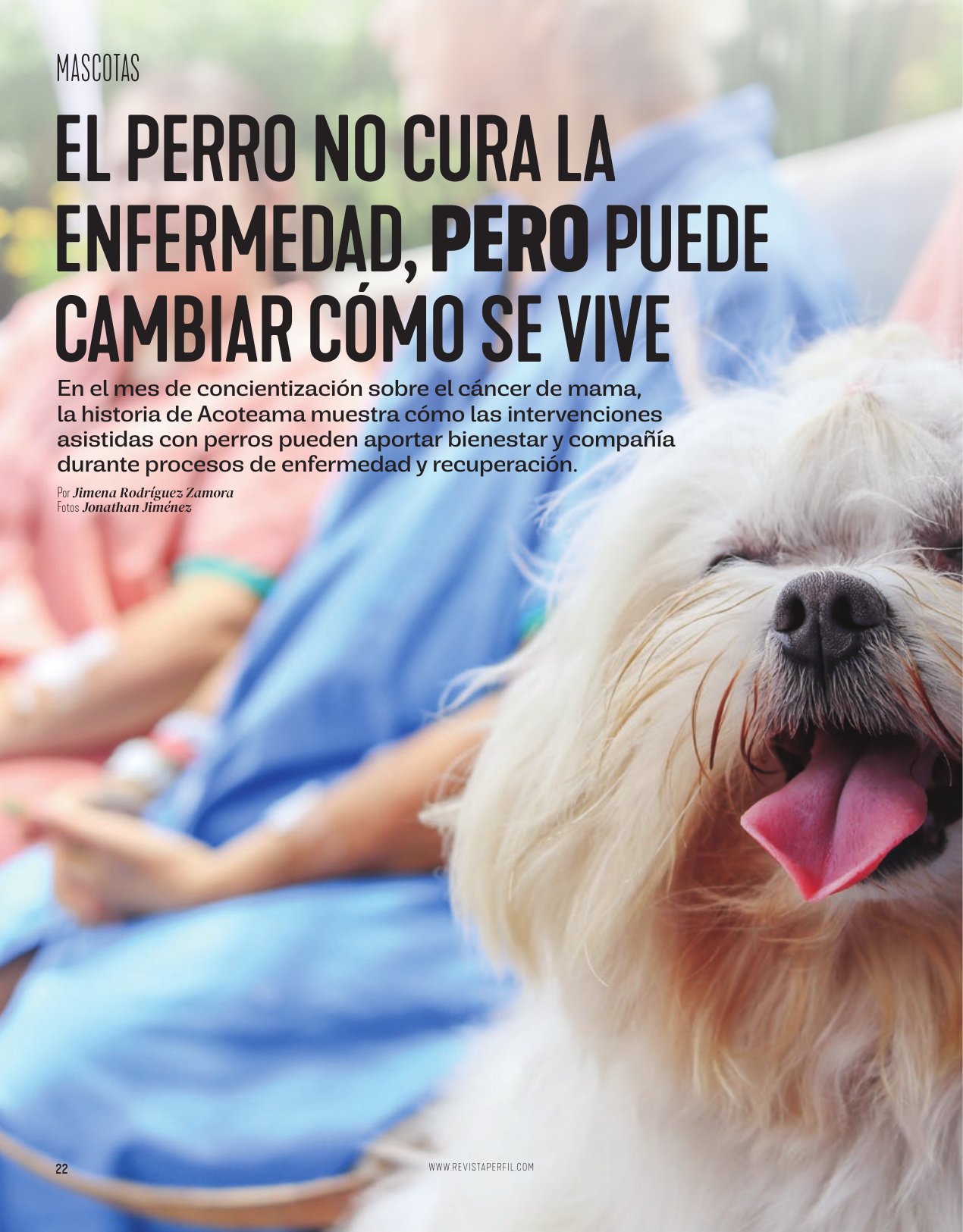 Revista Perfil, página 22: reportaje sobre ACOTEAMA con un perro de terapia junto a un paciente